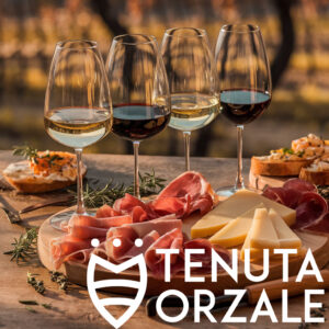 Winery Immersion Experience: Tour and Tasting