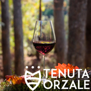 Nature's Vineyard Walk & Tasting